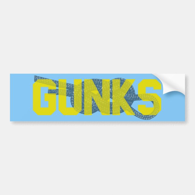 Shawagunks Climbing Bumper Sticker (Front)