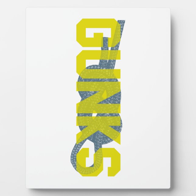 Shawagunks Climbing Plaque (Front)