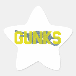 Shawagunks Climbing Star Sticker