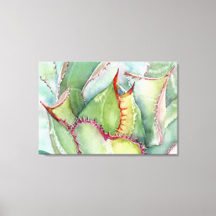 Shaw's Agave Canvas Print