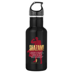 SHAZAM! Fury of the Gods   Flexing Silhouette 532 Ml Water Bottle