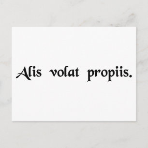 She flies with her own wings postcard