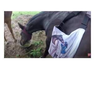 She is having so much fun! Two-Tone coffee mug