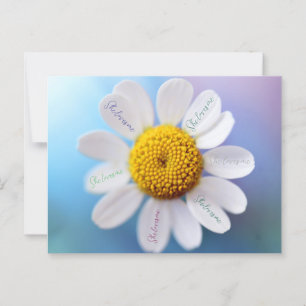 "She Loves Me" Daisy Postcard
