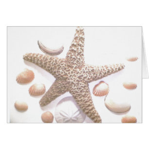 She sells sea shells