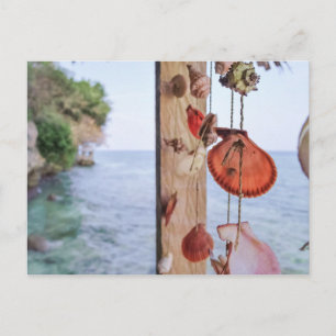 She Sells Sea Shells Postcard