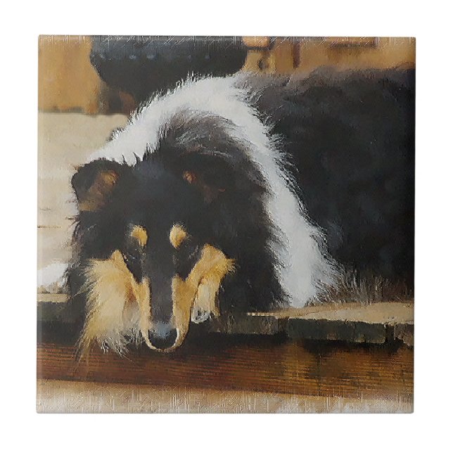 She Waits Tri Colour Collie Tile (Front)