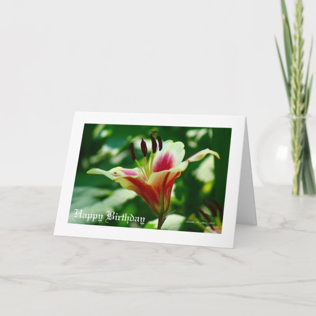 She walks in beauty.... card (Front)