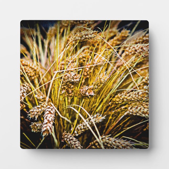 Sheaf Of Wheat - Thank You Plaque (Front)