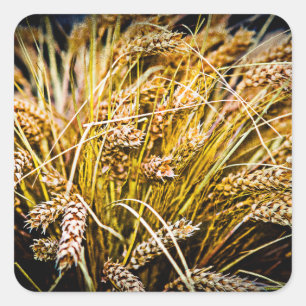 Sheaf Of Wheat - Thank You Square Sticker