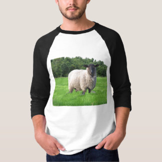 Sheal Basic 3/4 Sleeve Raglan T-Shirt