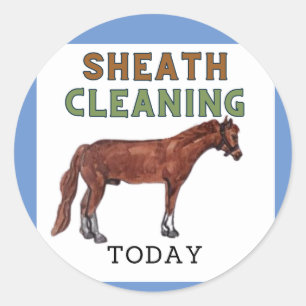 sheath cleaning today sticker