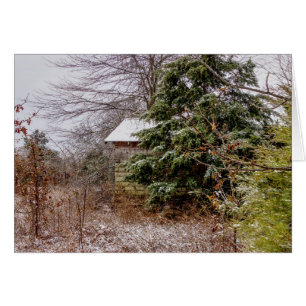 Shed Abandoned Greeting Card