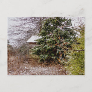 Shed Abandoned Post Card
