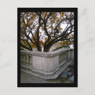 shedd aquarium :: autumn postcard