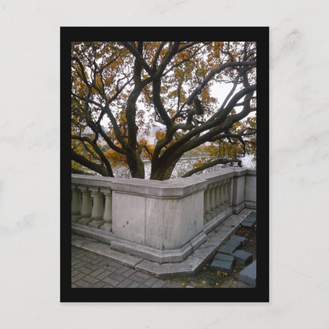 shedd aquarium :: autumn postcard (Front)