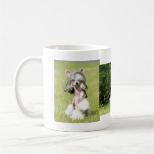 Sheeba Pointing Coffee Mug