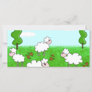 Sheep