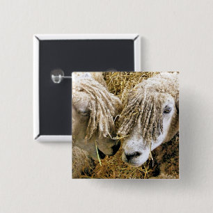 SHEEP 15 CM SQUARE BADGE