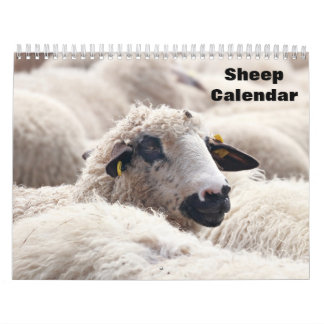 Sheep 2026 calendar