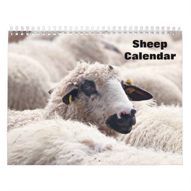 Sheep 2026 calendar (Cover)