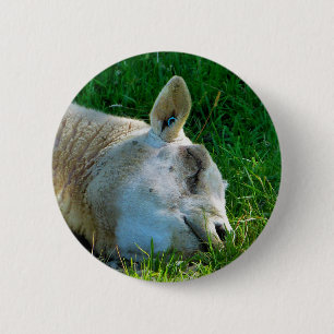 SHEEP 6 CM ROUND BADGE