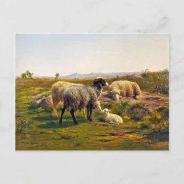 Sheep and a Lamb by Rosa Bonheur Postcard (Front)