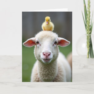 Sheep And Chick Friendship Card