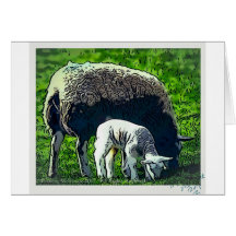 Sheep and lamb cartoon