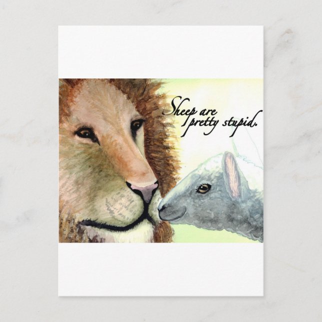 Sheep Are Pretty Stupid. Postcard (Front)