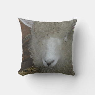 Sheep at the county fair cushion
