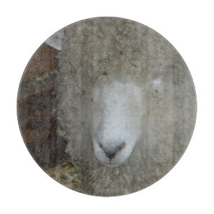 Sheep at the county fair cutting board