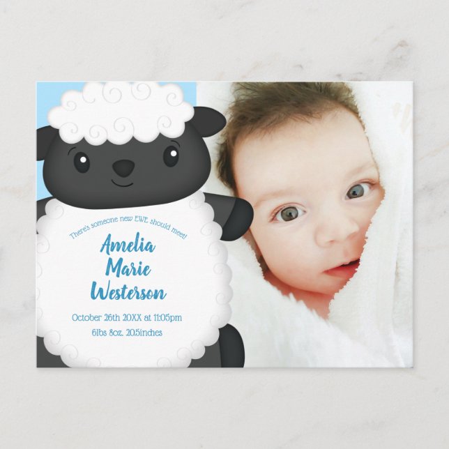 Sheep Baby Shower Farm Blue Boy Postcard (Front)