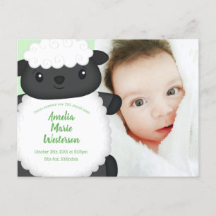 Sheep Baby Shower Farm Postcard