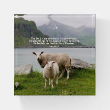 Sheep Beside Still Waters