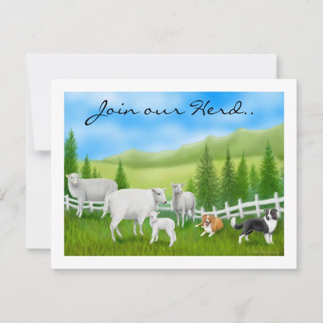 Sheep & Border Collies Invitation (Front)