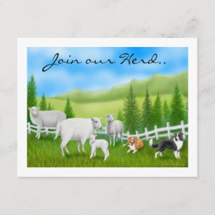 Sheep & Border Collies Invitation