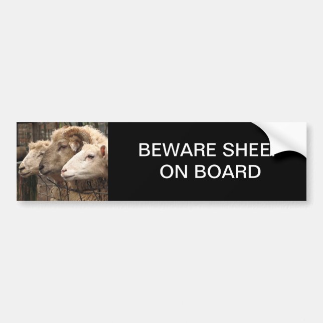 sheep bumper sticker (Front)