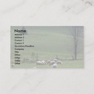 Sheep Business Card