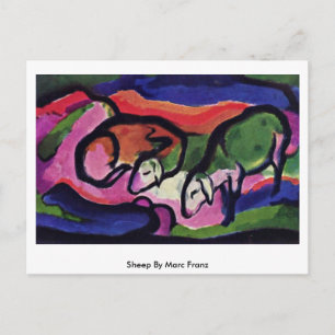 Sheep By Marc Franz Postcard
