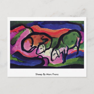 Sheep By Marc Franz Postcard