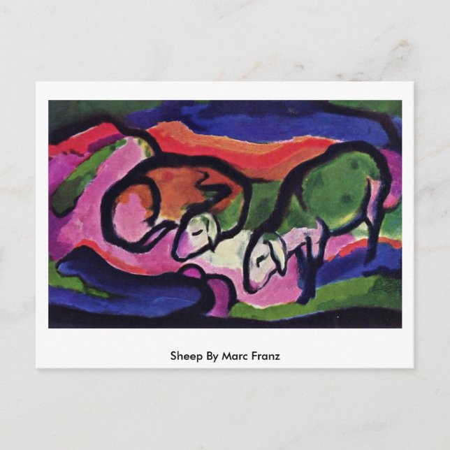 Sheep By Marc Franz Postcard (Front)