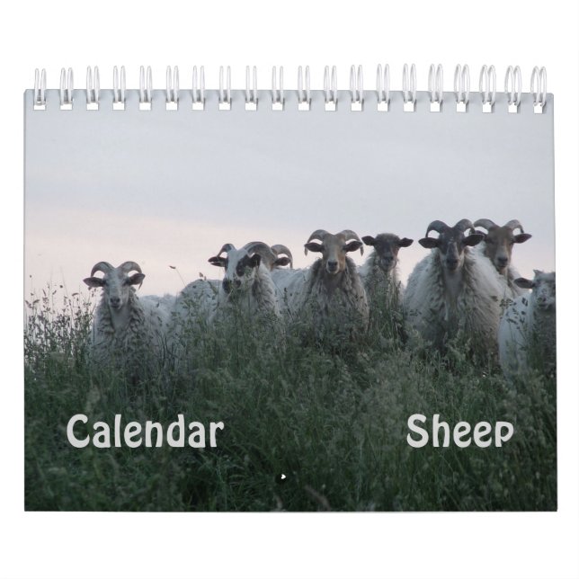 Sheep Calendar (Cover)
