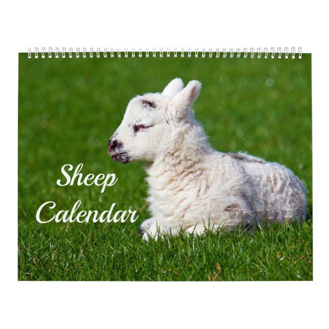 Sheep Calendar (Cover)