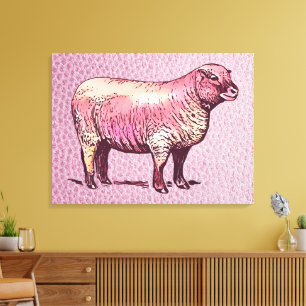 Sheep Canvas Print