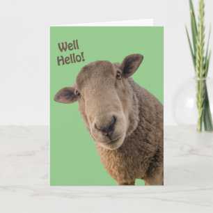 Sheep Card