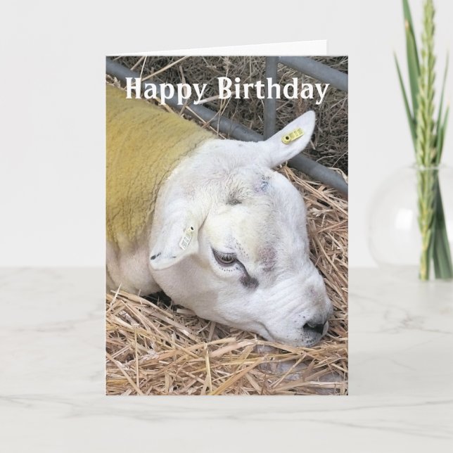 SHEEP CARD (Front)