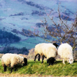 SHEEP CARD
