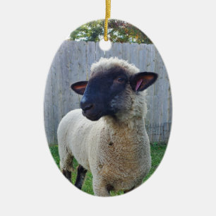 Sheep Ceramic Tree Decoration