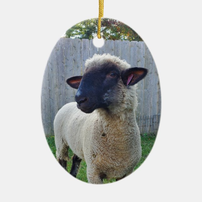 Sheep Ceramic Tree Decoration (Front)